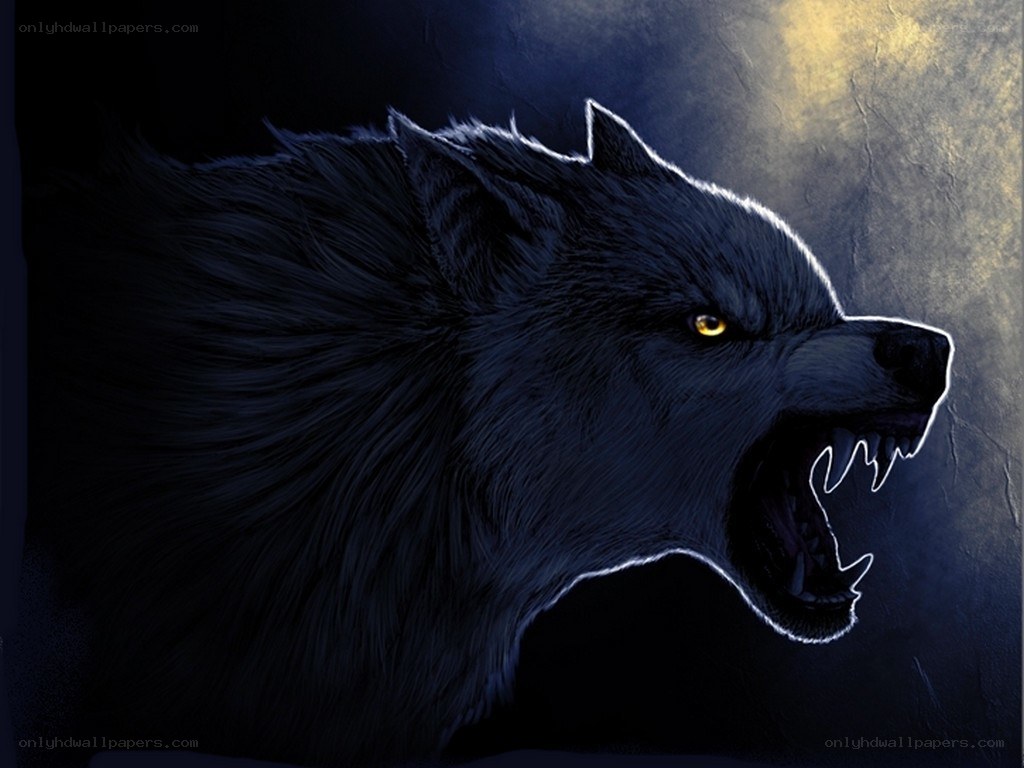 howling black wolf