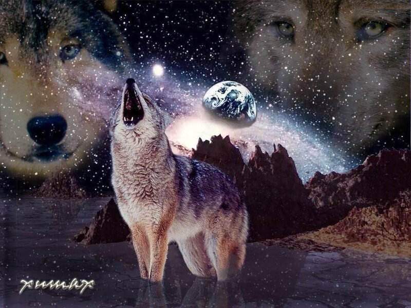 Howling Coyote