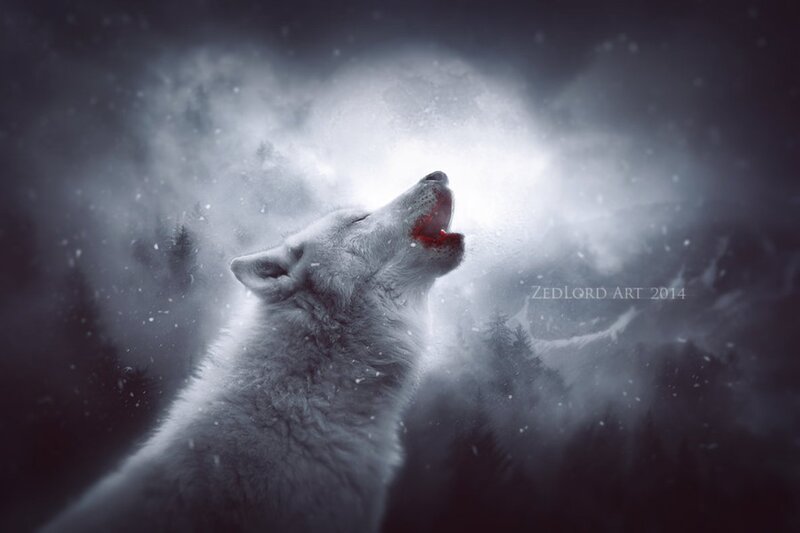 Howling White Wolf — Dramatic, Night, Digital Art