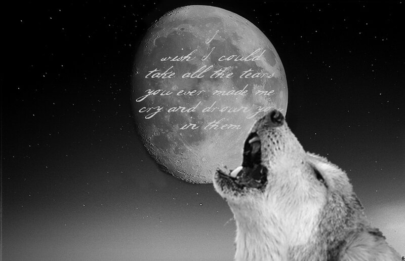 Howling Wolf at Night — Black, Dramatic