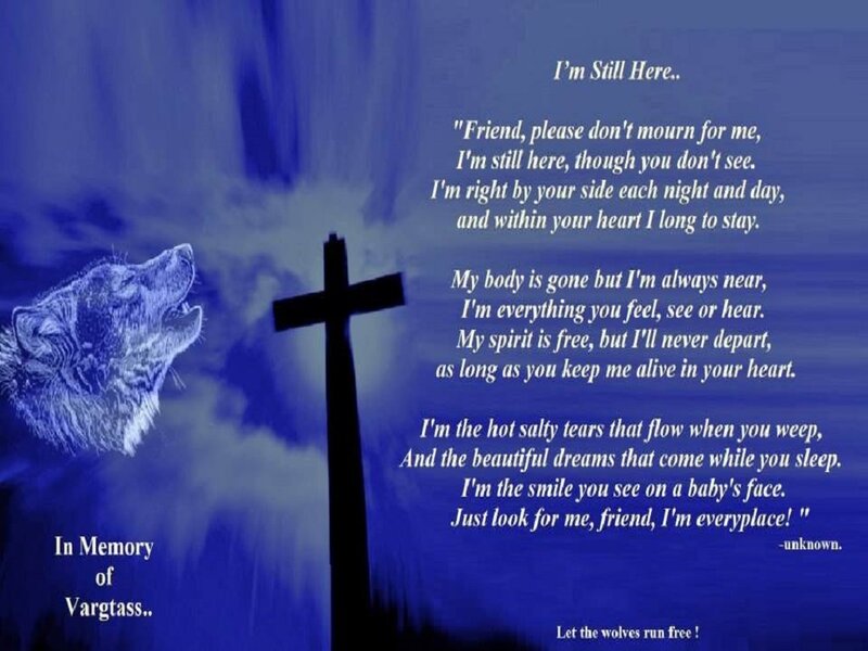 Howling Wolf at Night — Blue