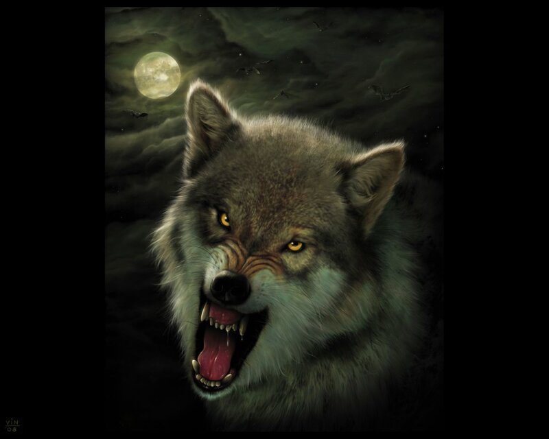 Howling Wolf at Night — Gray