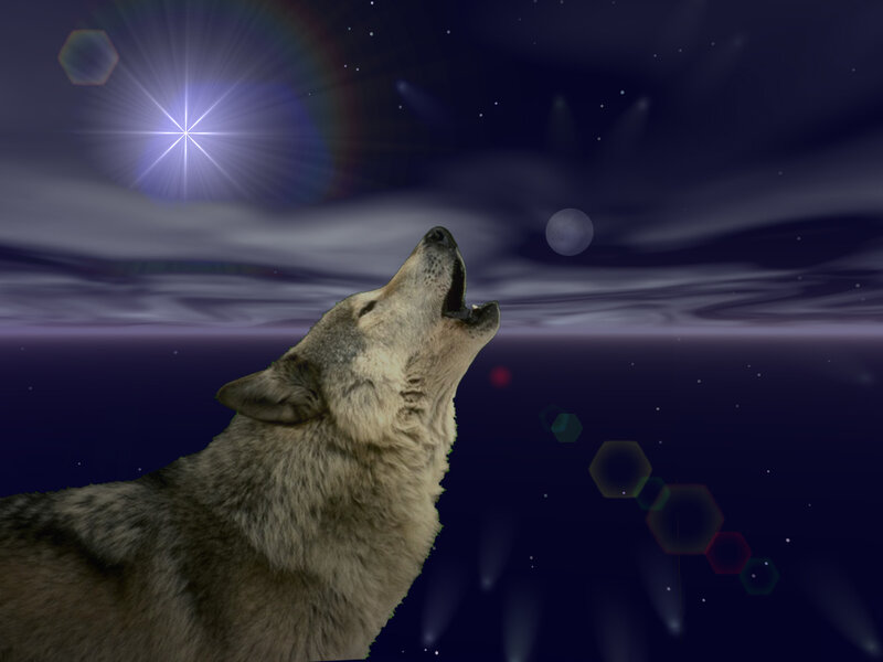 Howling Wolf at Night — Purple