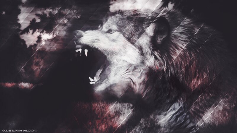 Howling Wolf — Black, Dramatic, Night, Digital Art, Forest
