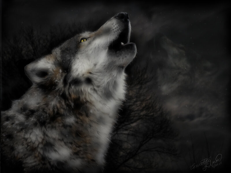 Howling Wolf — Black, Dramatic, Night, Digital Art, Night Sky