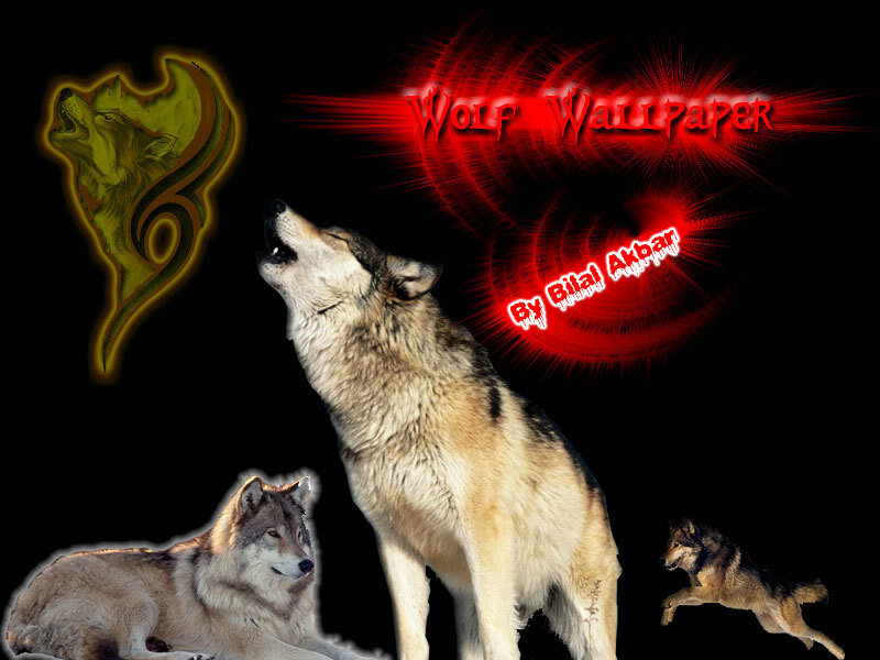 Howling Wolf — Black, Dramatic, Night