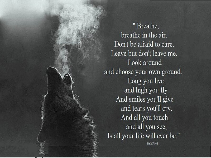 Howling Wolf — Black, Dramatic, Photograph