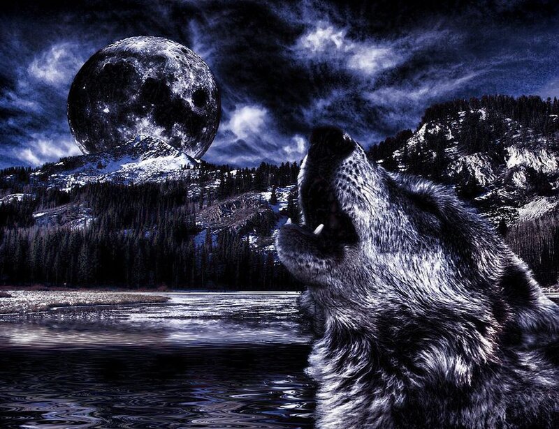Howling Wolf — Blue, Dramatic, Night, Digital Art, Moon