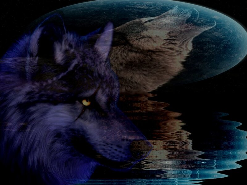 Howling Wolf — Blue, Dramatic, Night, Digital Art, Planet
