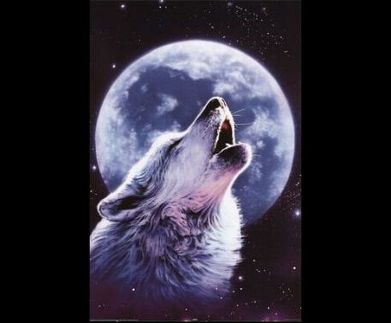 Howling Wolf — Blue, Dramatic, Night, Digital Art