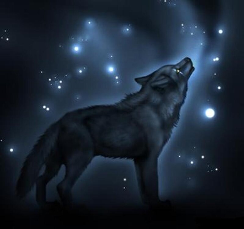 Howling Wolf — Blue, Dramatic, Night