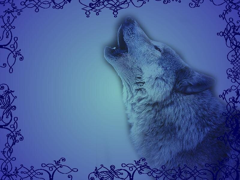 Howling Wolf — Blue, Dramatic