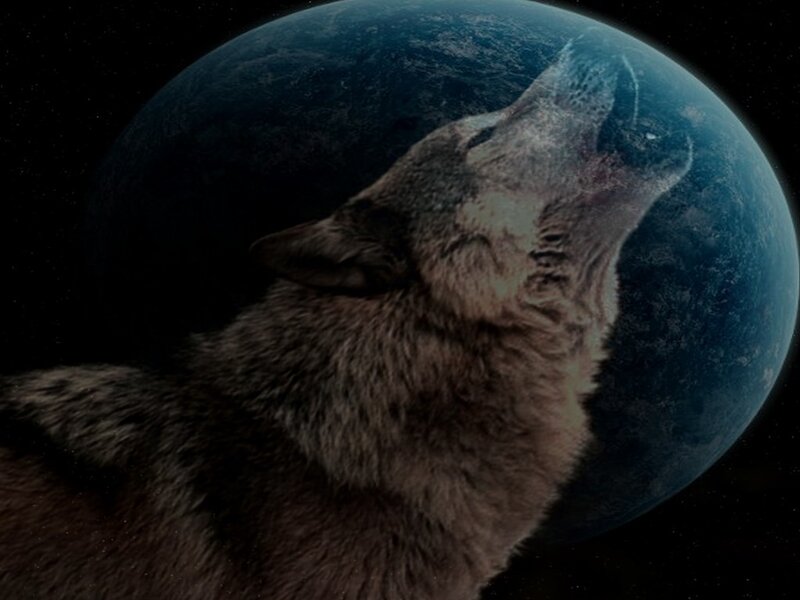 Howling Wolf — Brown, Dramatic, Digital Art, Planet