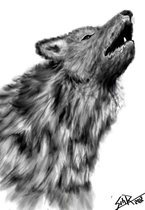 howling wolf drawing