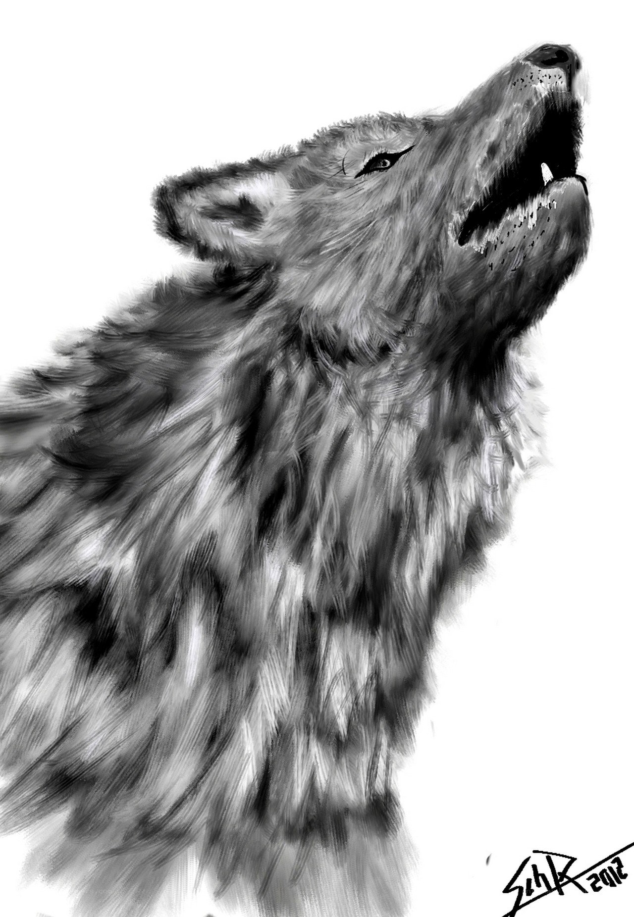 howling wolf drawing