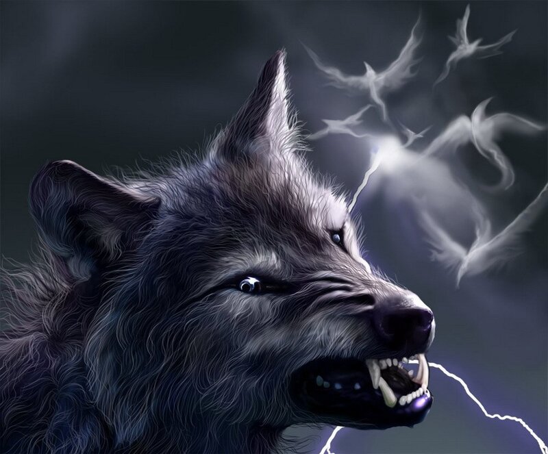 Howling Wolf Head — Gray, Dramatic