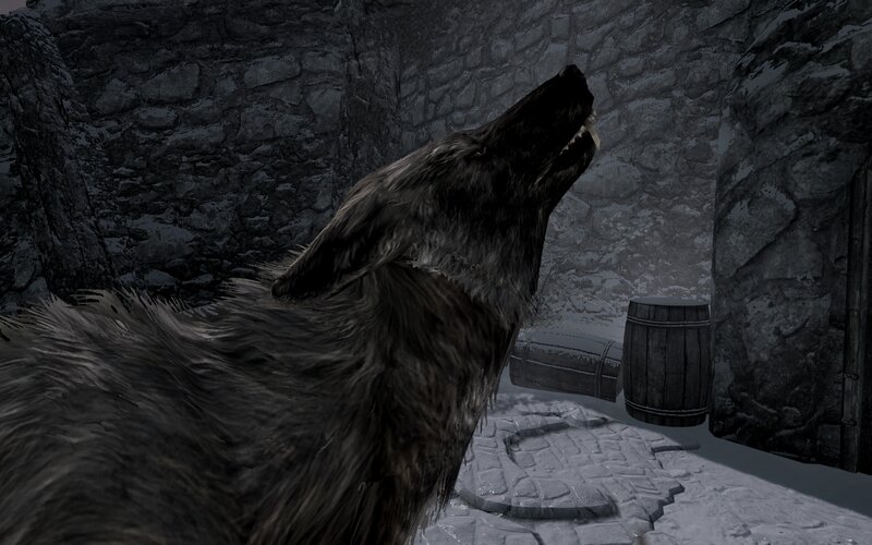 Howling Wolf in Cave