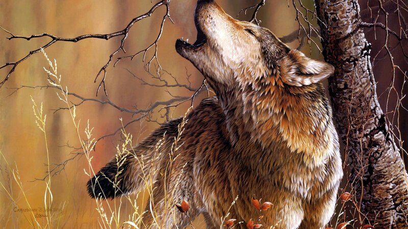 Howling Wolf in Forest — Brown, Dramatic, Autumn