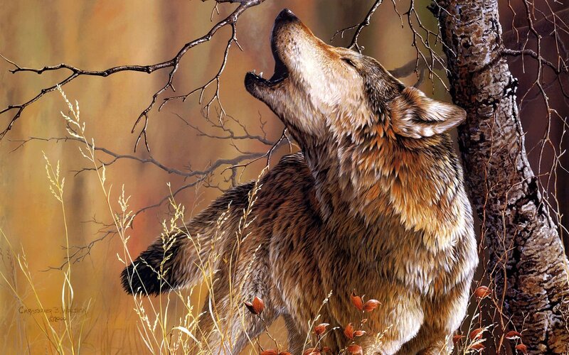 Howling Wolf in Forest — Brown