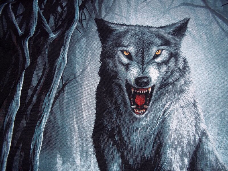 Howling Wolf in Forest — Gray, Dramatic