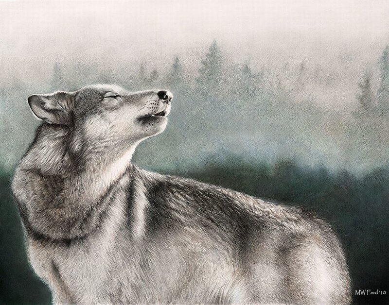 Howling Wolf in Forest — Gray