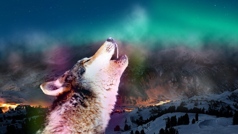 Howling Wolf in Mountains — Green