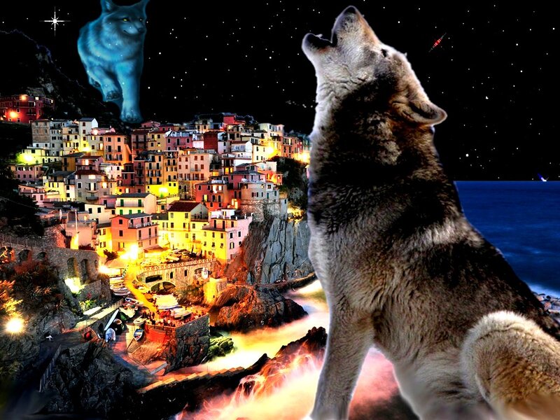 Howling Wolf on Cliff