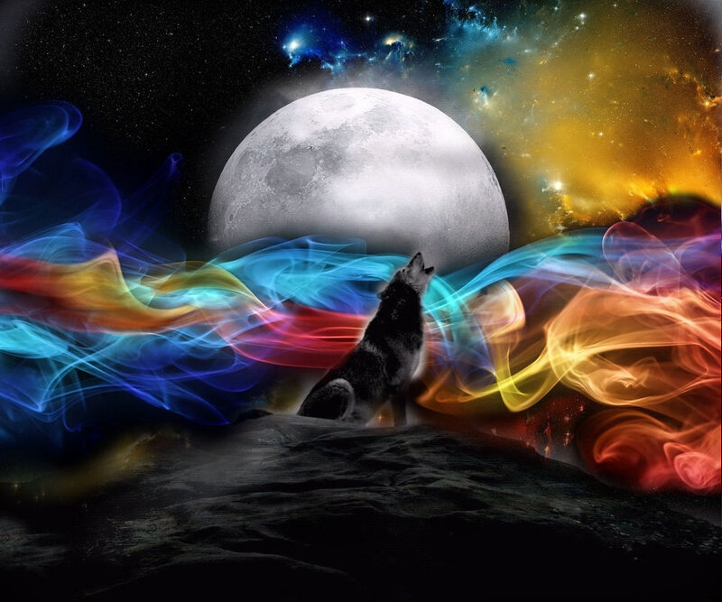 Howling Wolf on Rock