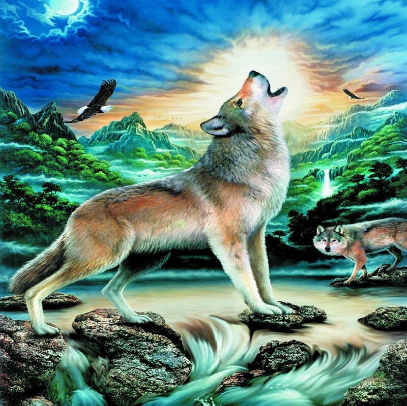 Howling Wolf on Rocks