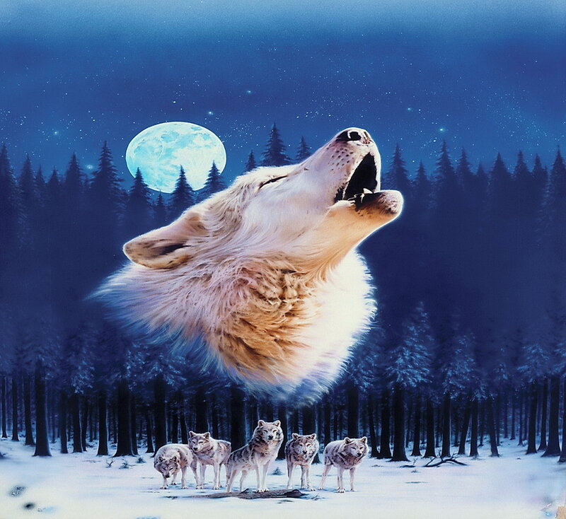 Howling Wolf Pack