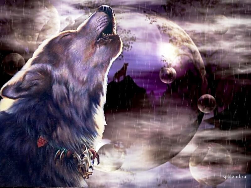 Howling Wolf — Purple, Dramatic, Night, Digital Art, Moon