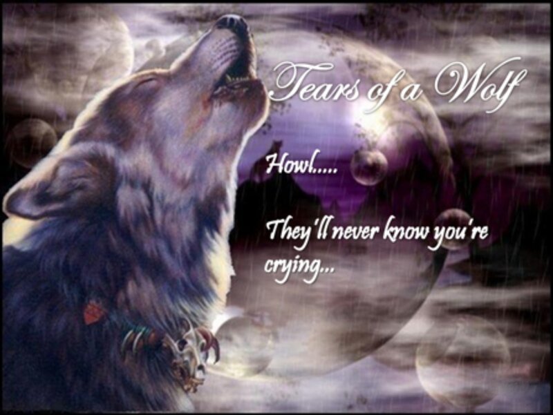 Howling Wolf — Purple, Dramatic, Night, Digital Art