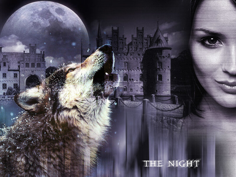 Howling Wolf — Purple, Dramatic