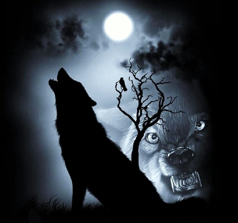 Howling Wolf Silhouette — Black, Dramatic, Night