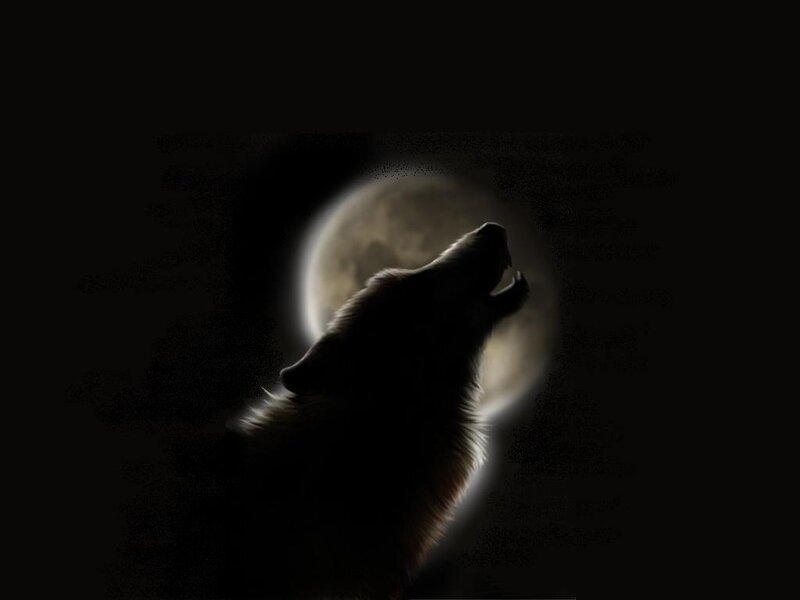 Howling Wolf Silhouette — Black