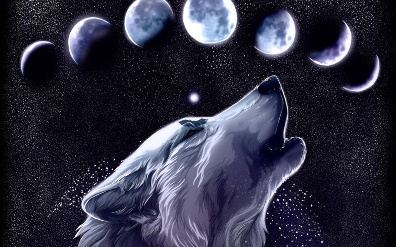 Howling Wolf under Moon — Black, Dramatic, Night, Digital Art