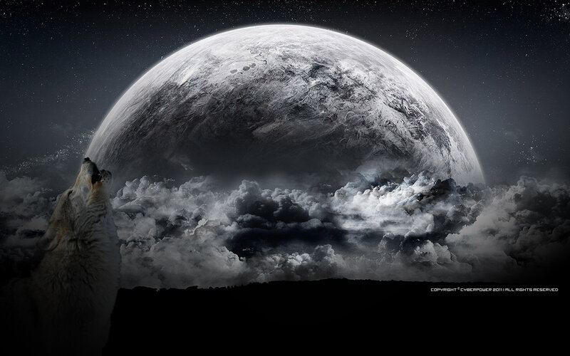 Howling Wolf under Moon — Black, Dramatic