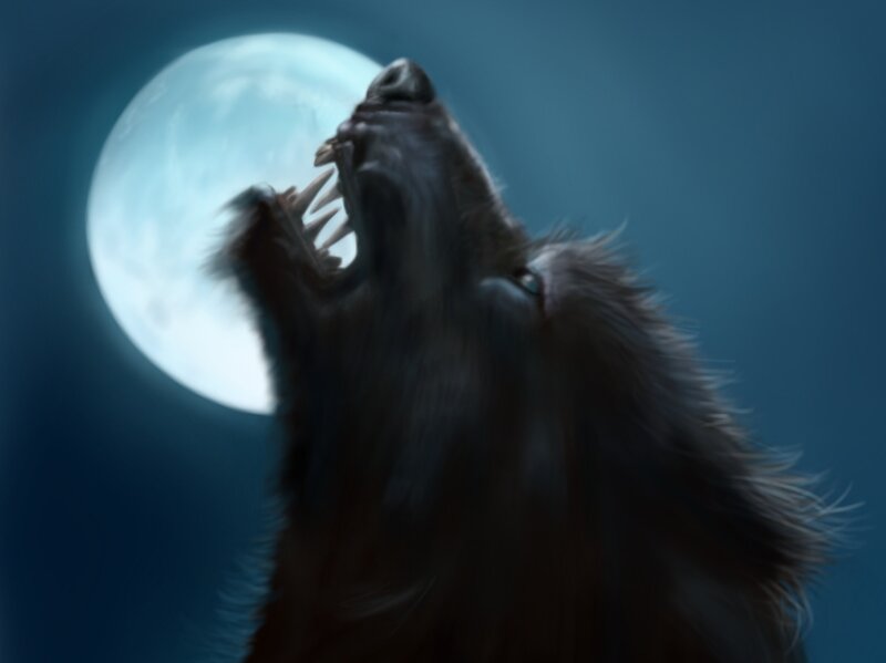 Howling Wolf under Moon — Blue, Dramatic, Night, Digital Art