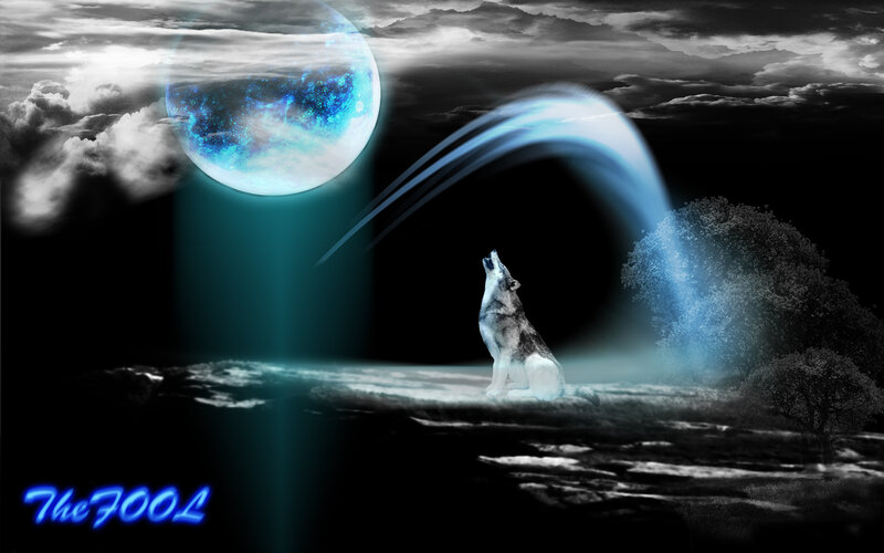 Howling Wolf under Moon — Blue