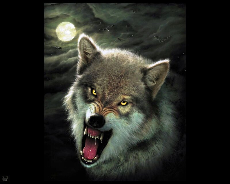 Howling Wolf under Moon — Gray, Dramatic, Night