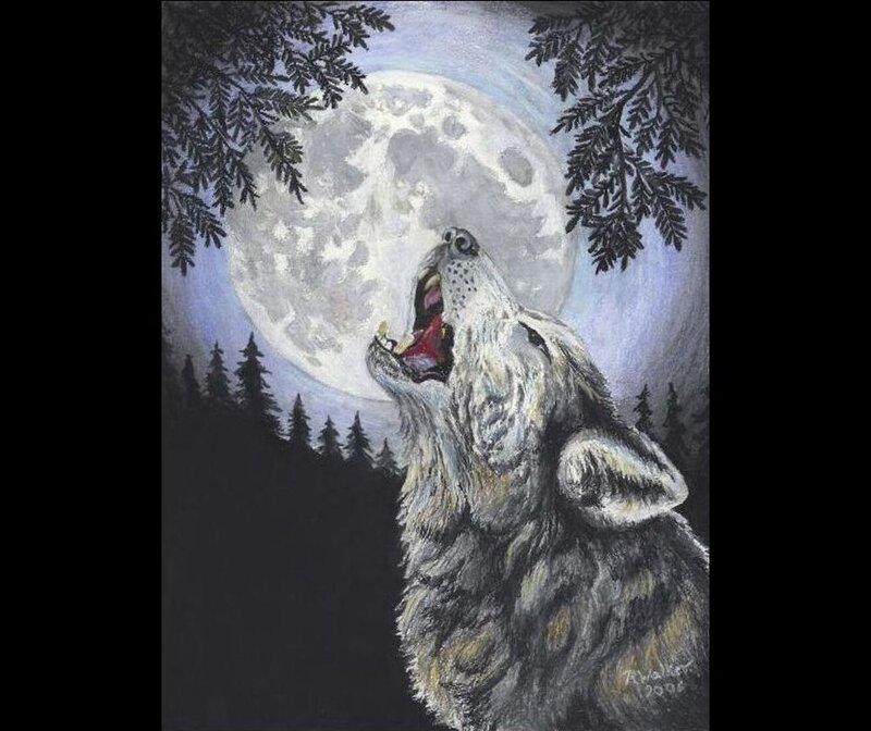 Howling Wolf under Moon — Gray, Dramatic