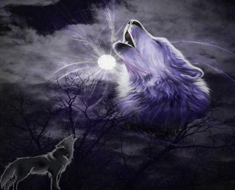 Howling Wolf under Moon — Purple, Dramatic