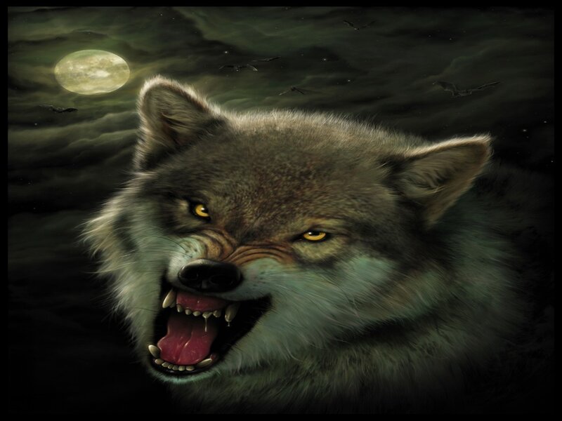 Howling Wolf under Moon