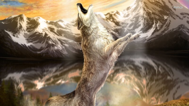 Howling Wolf — White, Dramatic