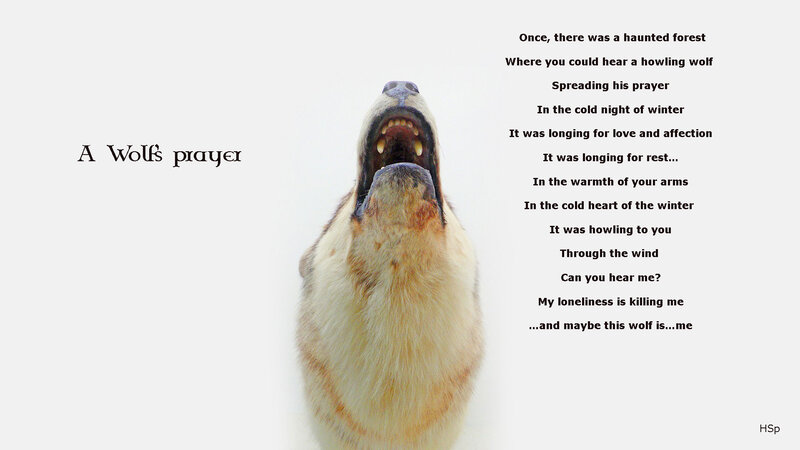 Howling Wolf — White
