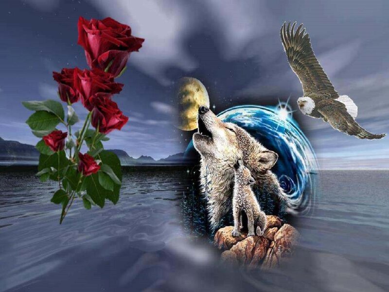 Howling Wolf with Cub