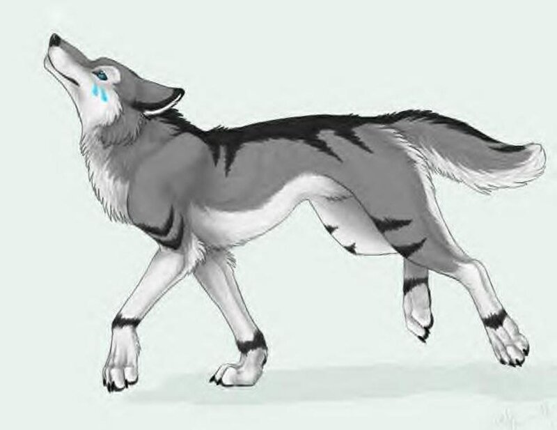Howling Wolf with Tears