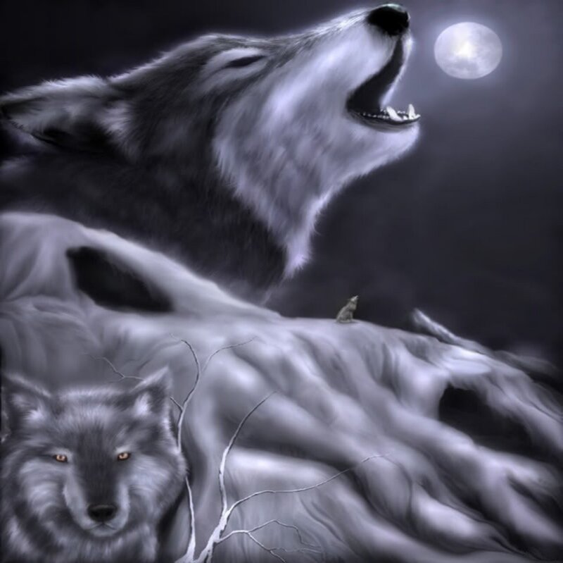 Howling Wolves — Gray