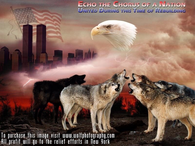 Howling Wolves — Red