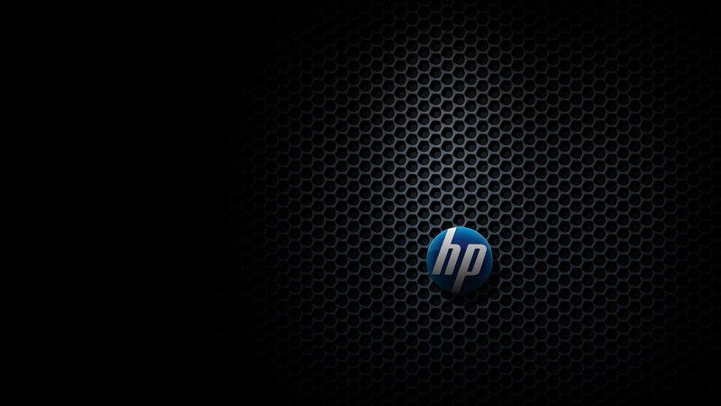 Hp Logo on Mesh